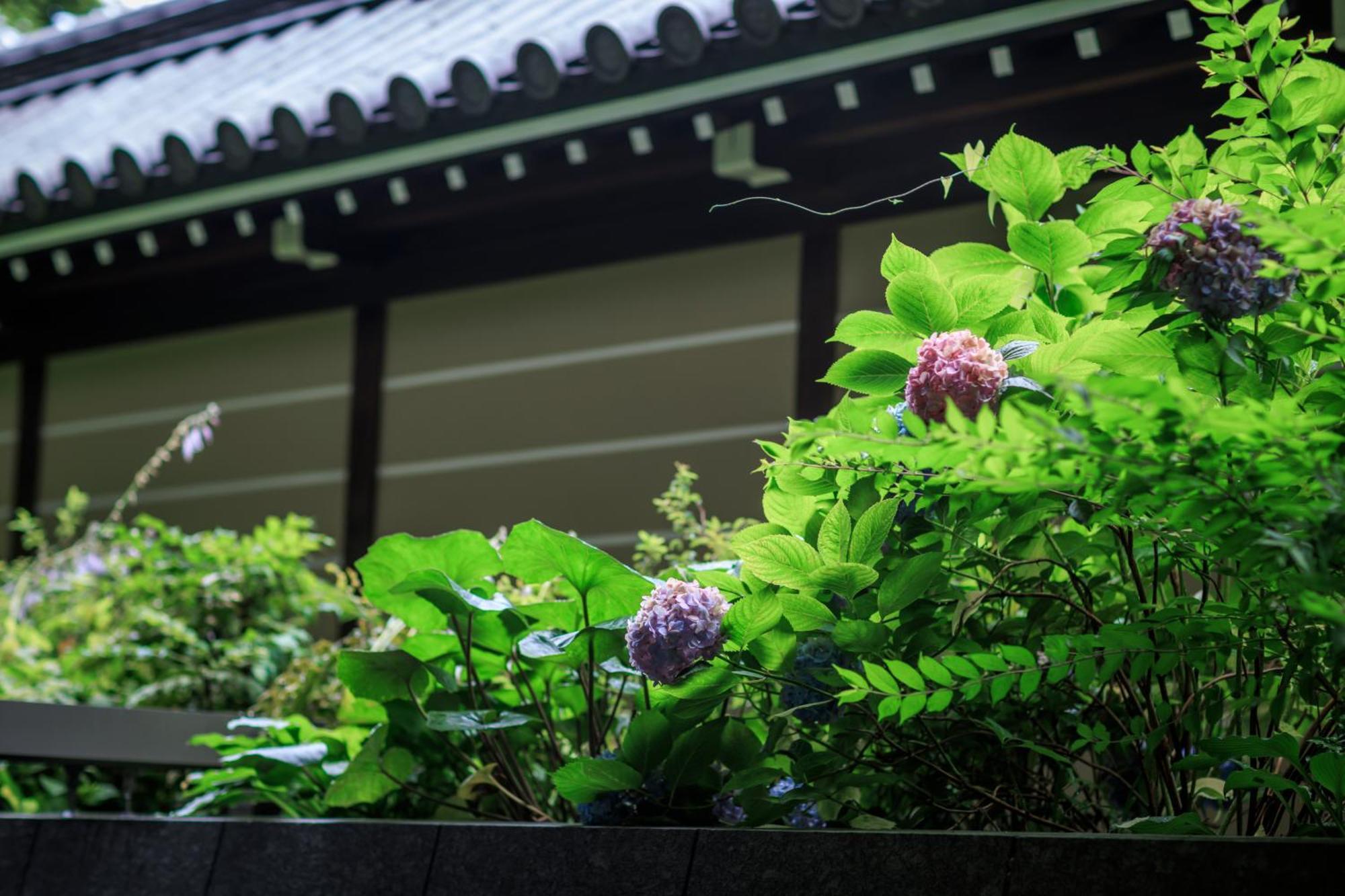 Hotel Okura Kyoto Okazaki Bettei Exterior photo
